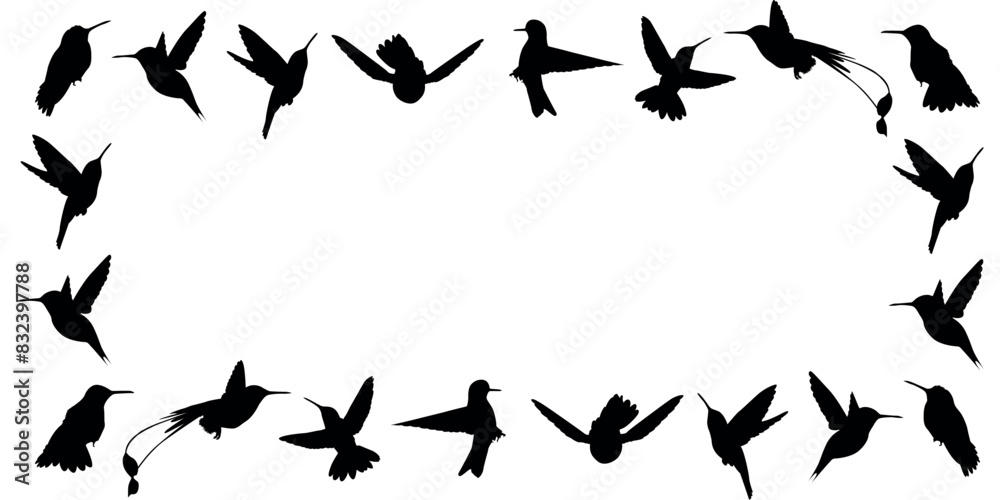 hummingbird. a shadow. the silhouette of a hummingbird. Feathered. vector. black color. on a white background. seamless pattern. the pattern. animal. a wild animal. bird. Fly. traces. hummingbird. a shadow. the silhouette of a hummingbird. Feathered. vector. black color. on a white background. seamless pattern. the pattern. animal. a wild animal. bird. Fly. traces.