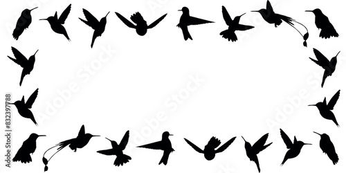 hummingbird. a shadow. the silhouette of a hummingbird. Feathered. vector. black color. on a white background. seamless pattern. the pattern. animal. a wild animal. bird. Fly. traces.