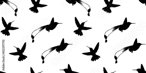 hummingbird. a shadow. the silhouette of a hummingbird. Feathered. vector. black color. on a white background. seamless pattern. the pattern. animal. a wild animal. bird. Fly. traces.