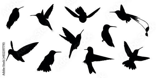 hummingbird. a shadow. the silhouette of a hummingbird. Feathered. vector. black color. on a white background. seamless pattern. the pattern. animal. a wild animal. bird. Fly. traces.
