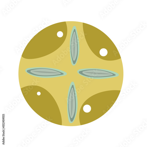 Diatom