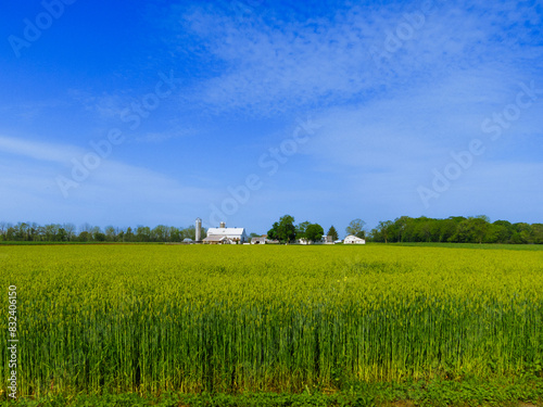 Amish farm