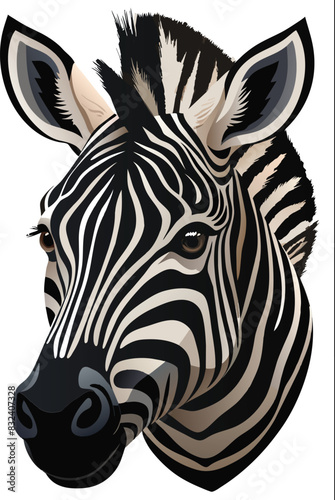 African Animal Zebra Face-