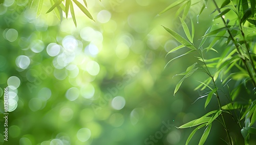 green bamboo background with bokeh effect
