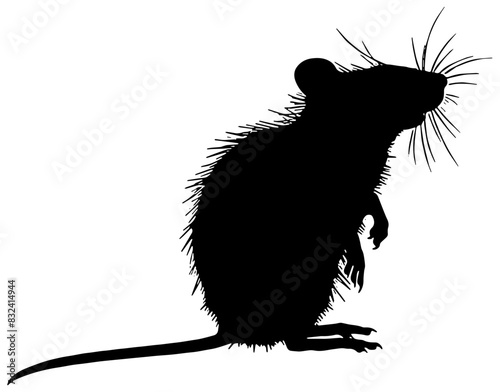 Silhouette of a mouse or rat standing on its hind legs, isolated 