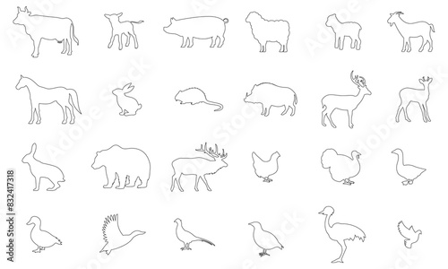 Vector outline icon, animals. Cow, calf, pig, sheep, lamb, goat, horse, rabbit, nutria, boar, deer, roe deer, hare, bear, elk, chicken, turkey, goose, duck, mallard, pheasant, partridge, ostrich, dove