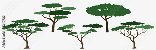 Colored silhouettes of African trees. African trees. Vector illustration.