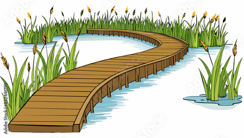 A wooden boardwalk winding through a dense marsh with tall reeds and cattails on either side. The path is raised above the murky water and offers a. Cartoon Vector.