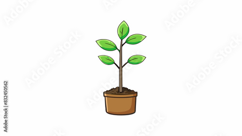 The newly planted seedling had small delicate leaves and a slender stem hence it required frequent watering and gentle care to thrive.. Cartoon Vector.