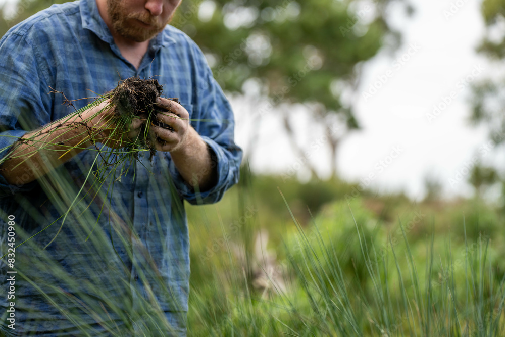 university student conducting research on forest health. farmer collecting soil samples in a test tube in a field. Agronomist checking soil carbon and plant health on a farm in australia