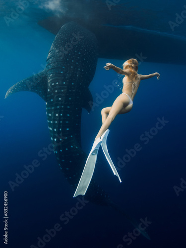 Photography Whale shark and sexy woman with fins in blue sea