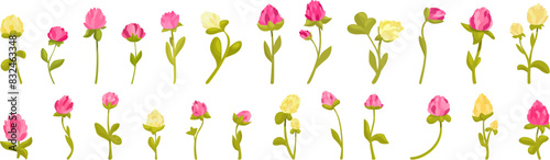 Clover bloom icons set vector. A row of flowers with some yellow flowers in the middle