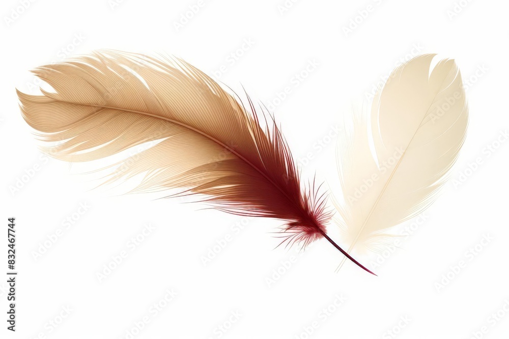 Obraz premium Valentines themed dicut a feather quill in earth tones, symbolizing romantic letters, isolated on white