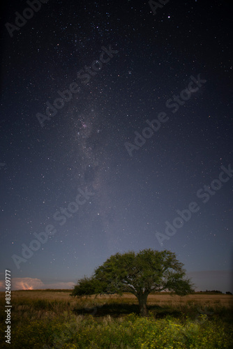 Pampas landscape photographed at night with a starry sky  La Pampa province  Patagonia   Argentina.