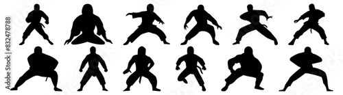 Fighter karate kung fu silhouette set vector design big pack of illustration and icon