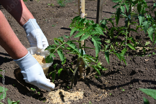 a person wearing gloves is working in the garden with a plant