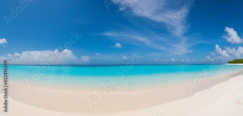 beach with trees