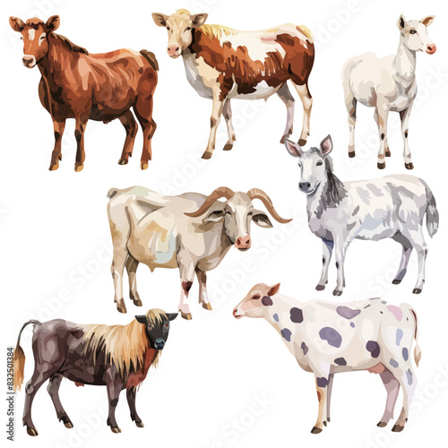 Watercolor vector of farm animals set, isolated on a white background, design art, drawing clipart, Illustration painting, Graphic logo, farm animals vector 