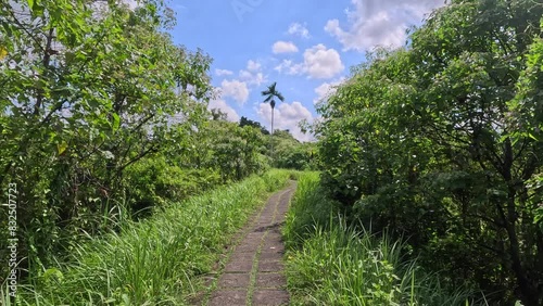 Campuhan Ridge Walk, Ubud, Bali