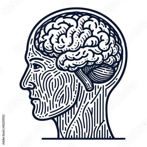 Human head and brain drawing line, vector illustration