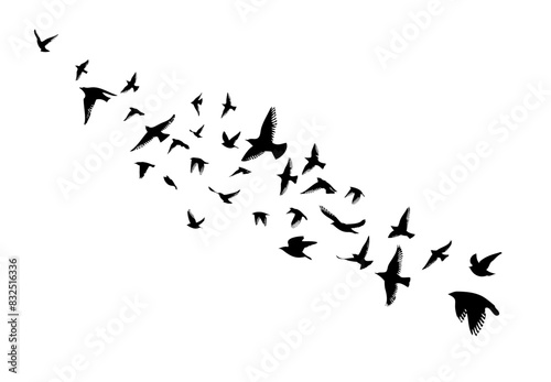 Flying birds silhouette flock. hand drawing. Not AI, Vector illustration