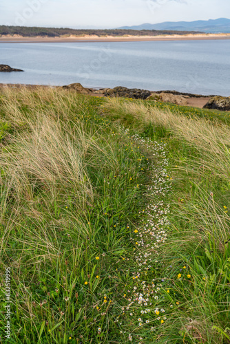 Lovely evening on Llandwyn Island Anglesey photo