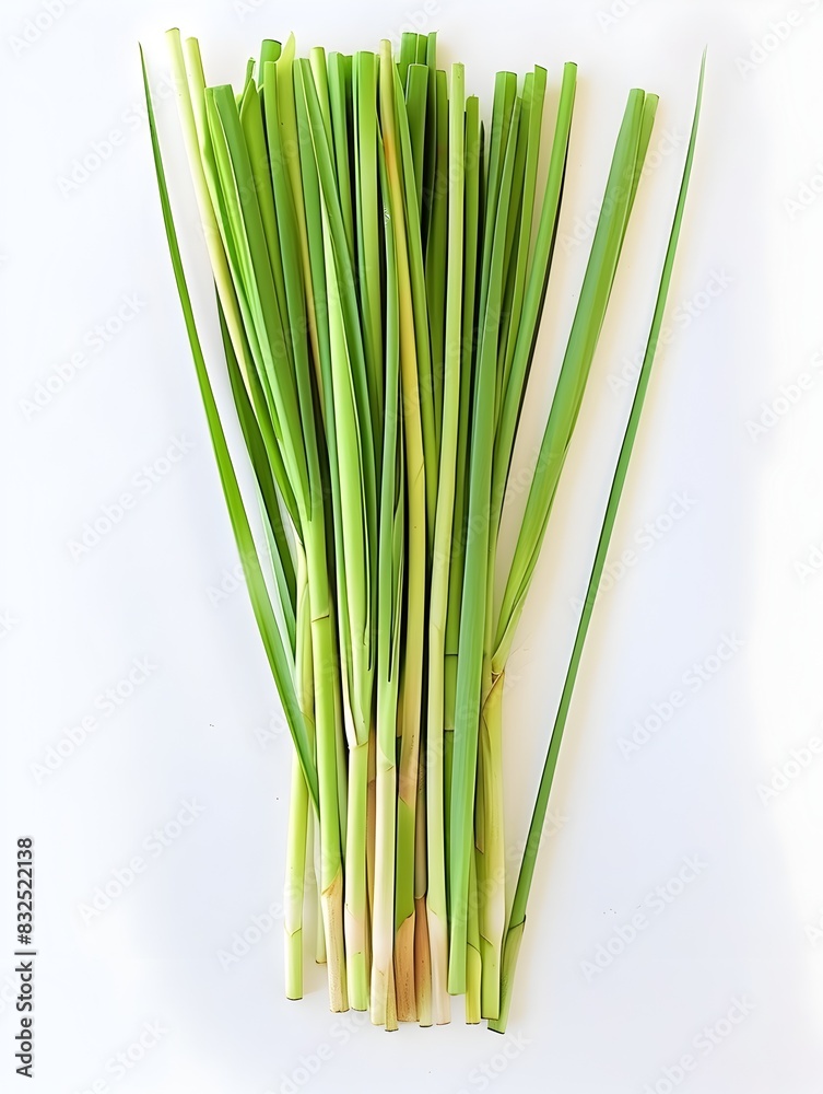 Fototapeta premium Lemongrass Leaves Fresh Slender and Green in