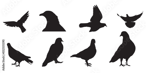 A Set Of Silhouettes Of Pigeons. Vector Illustration. Pigeons Set Love And Peace Symbols. Isolated On Transparent Background.