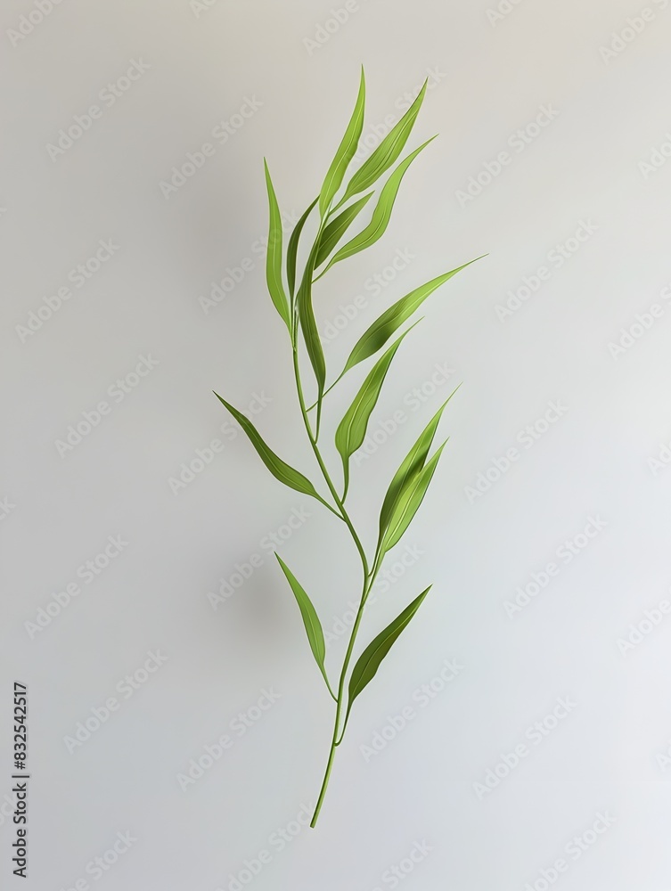 Fototapeta premium Slender Willow Leaf in D A Vibrant Symbol of Springtime Growth