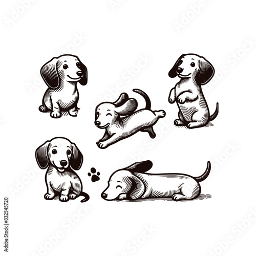 Vector Cute Dog  and Puppy set collection  silhouette design template illustration