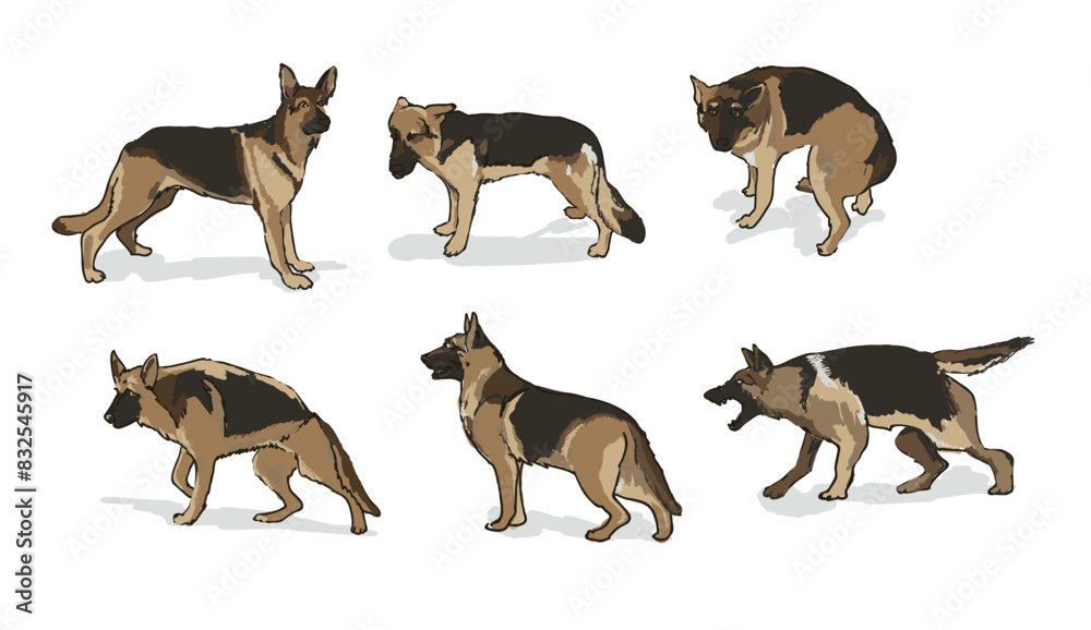 Obraz premium dog behaviours - german shepherd, digitally hand drawn
