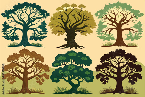 Set of Oak Tree Silhouette Illustration Detail and Natural vector