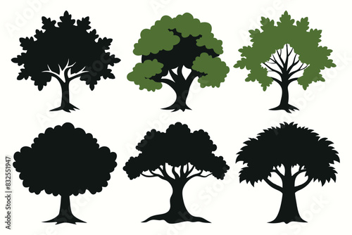 Set of Oak Tree Silhouette Illustration Detail and Natural vector