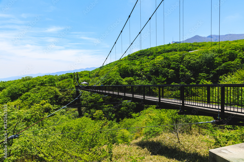Obraz premium ツツジ吊り橋（栃木県那須町）