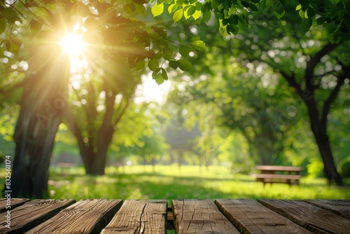 Spring summer beautiful nature background with blurred park trees in sunlight and empty wooden table  blurred background  product display  advertising
