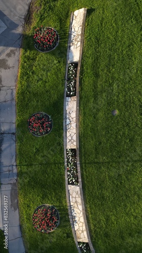 Flowers in the park aerial view in spring season