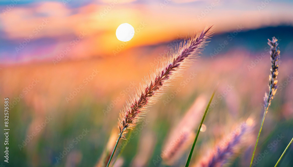 sunlit meadow with wild grass ears swaying gently, capturing the essence of nature's serenity and beauty in a glowing, warm light