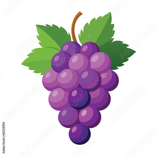 grape isolated on white background