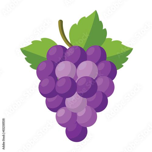 grape isolated on white background