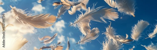 lots of white goose feathers flying in the blue sky in the sun light