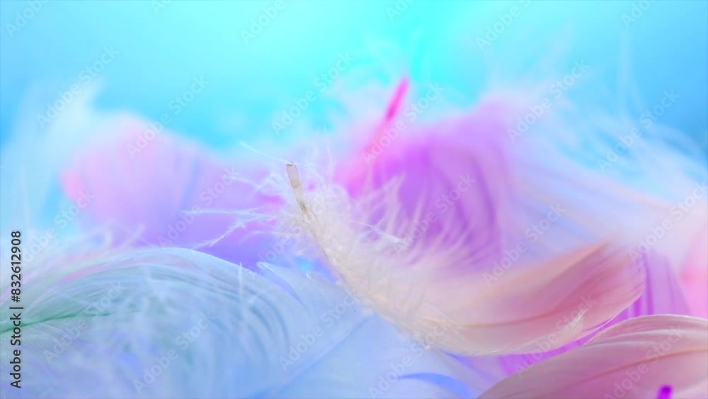 Beautiful abstract colorful feathers on blue background, soft pastel colors feather texture close up. Colourful pastel neon bird feathers. Softness concept. Slow motion. 
