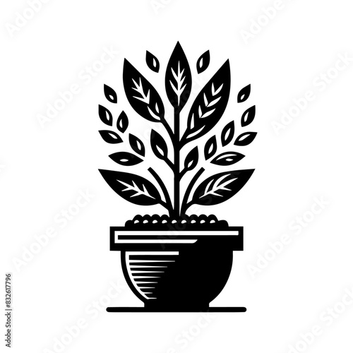 PLANT vector silhouette isolated on white background. photo