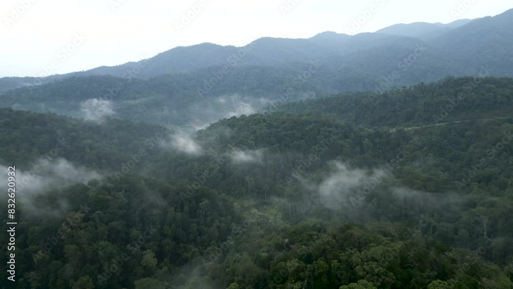 From a drone view you can observe the majesty of the deep jungle of Vienna on a cloudy day From a drone view you can observe the majesty of the deep jungle of Vienna on a cloudy day
