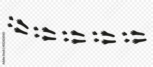 Footpath trail of animal. Rabbit paws. Paw foot trail print of rabbit on white background.Vector animal steps in black color.	