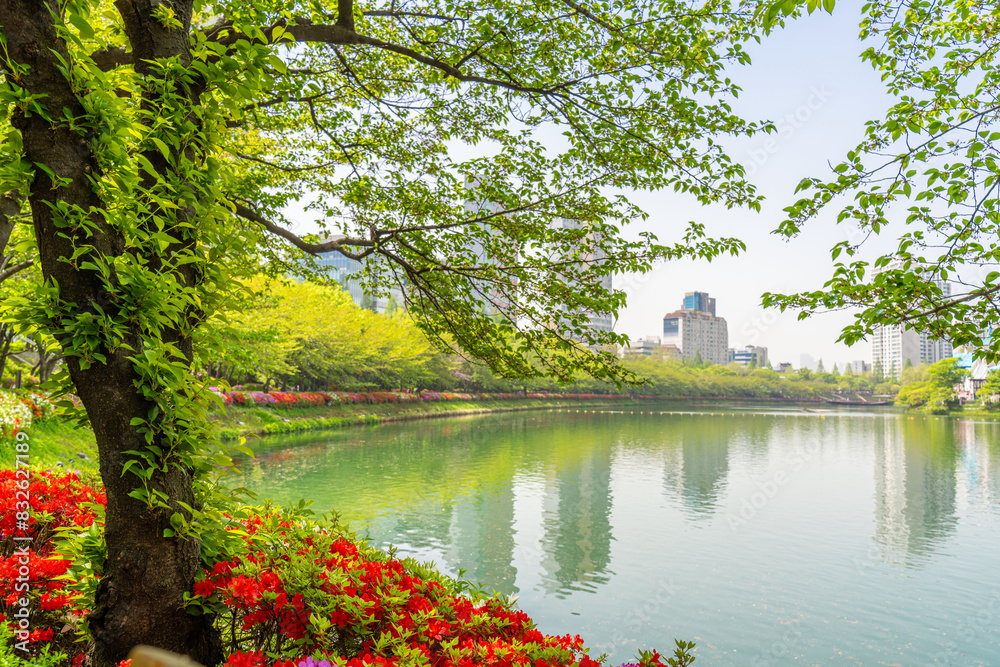 Beautiful flowers and Trees at the Seokchon Lake Park (석촌호수공원) in Seoul, South Korea Beautiful flowers and Trees at the Seokchon Lake Park (석촌호수공원) in Seoul, South Korea