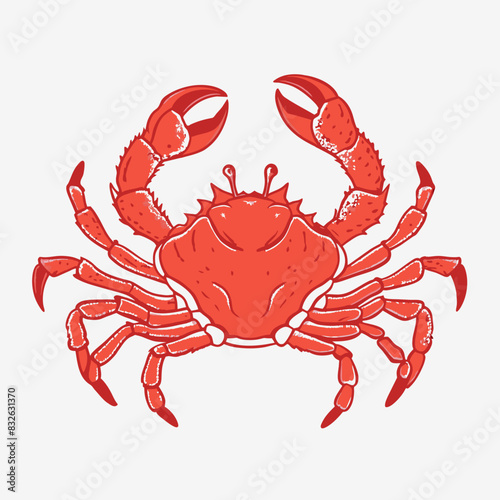 red crab isolated on white