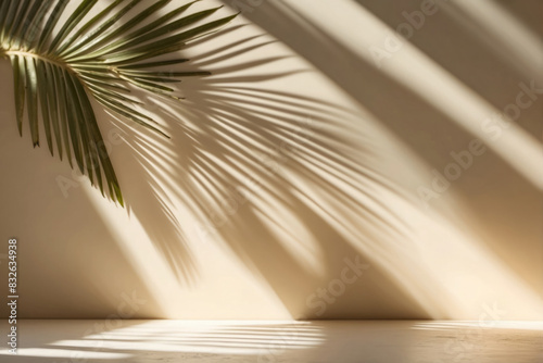 Blurred shadow from palm leaves on light wall background for product presentation.