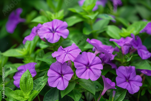In the vibrant garden, a tapestry of colors unfolds as delicate flowers sway gently in the breeze. Sun-kissed petals, ranging from bold hues to soft pastels
