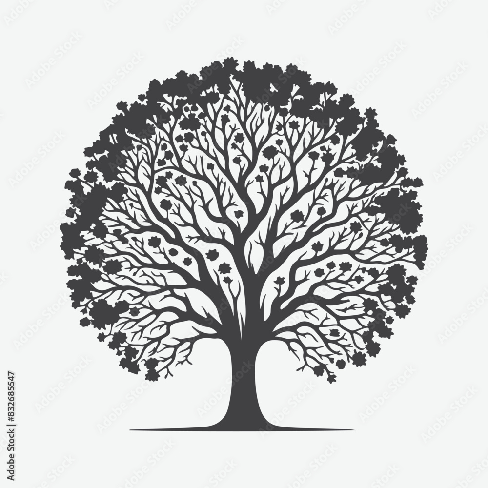 Fototapeta premium Majestic Ash Tree Silhouette, Nature's Timeless Elegance Captured