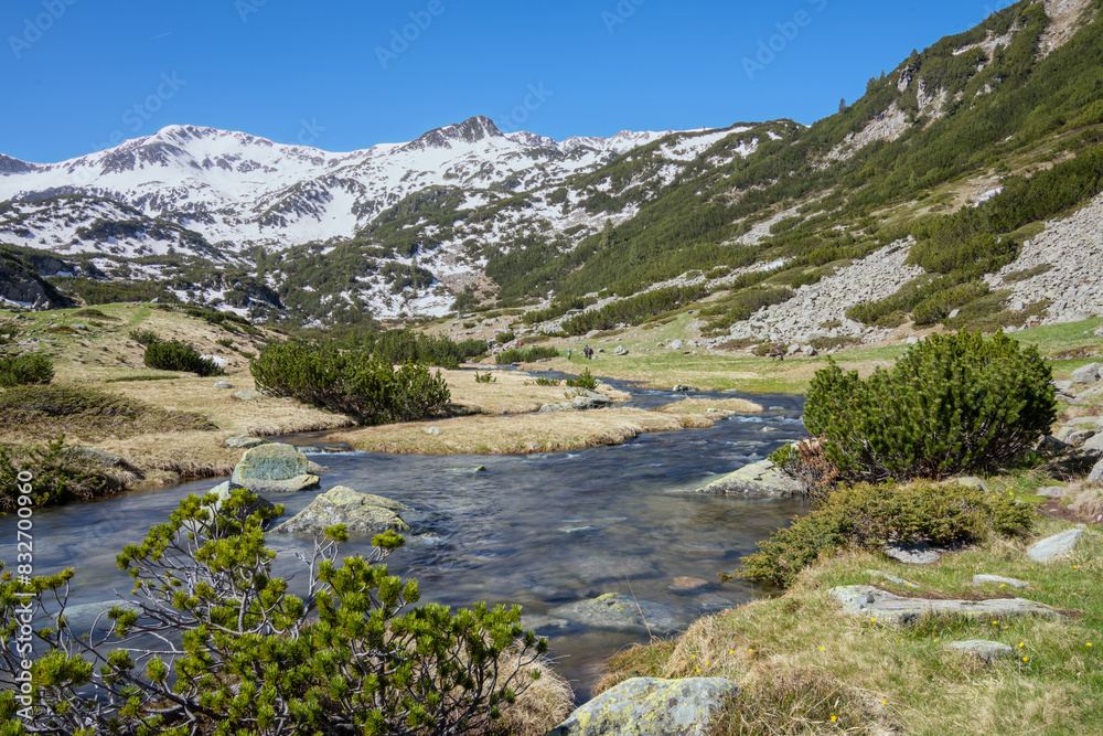 Banderitsa stream flowing down the valley up in the Pirin Mountains in late Spring.
